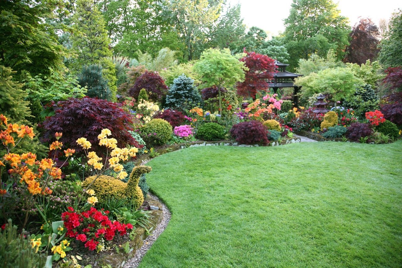 yard image